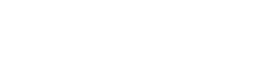 VMware Principal Partner